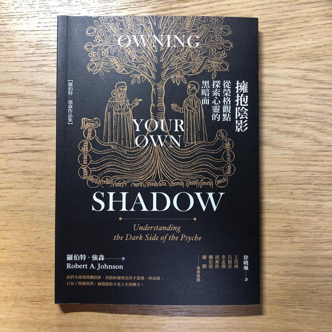 閱讀心得|《擁抱陰影》:從對立走向相對