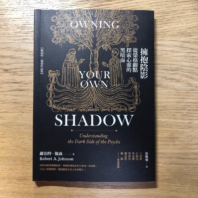 閱讀心得｜《擁抱陰影》：從對立走向相對