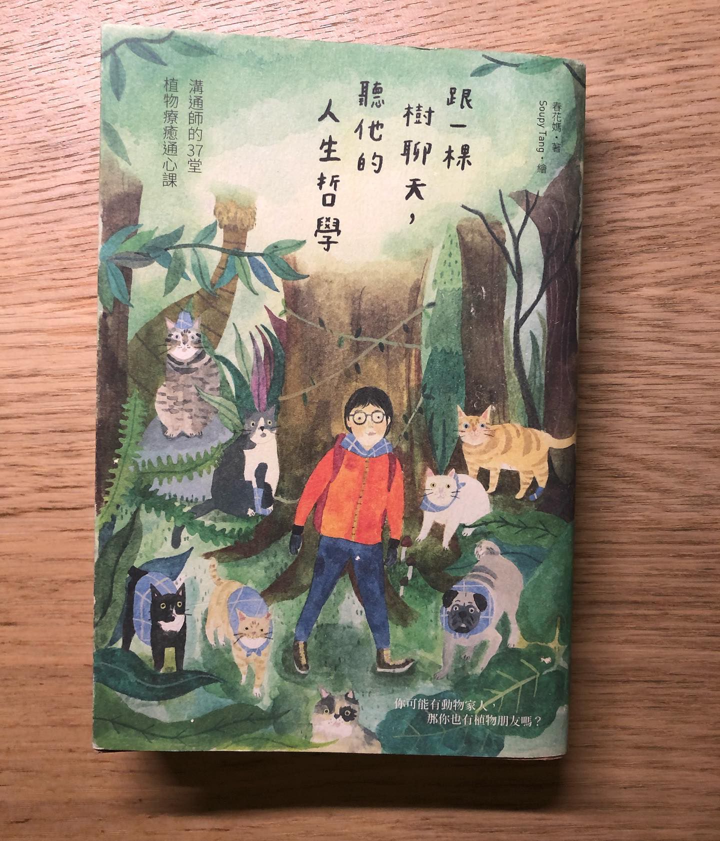 閱讀心得｜《跟一棵樹聊天，聽他的人生哲學：溝通師的37堂植物療癒通心課》